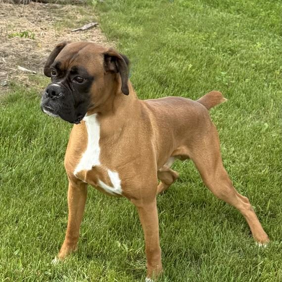 Max
