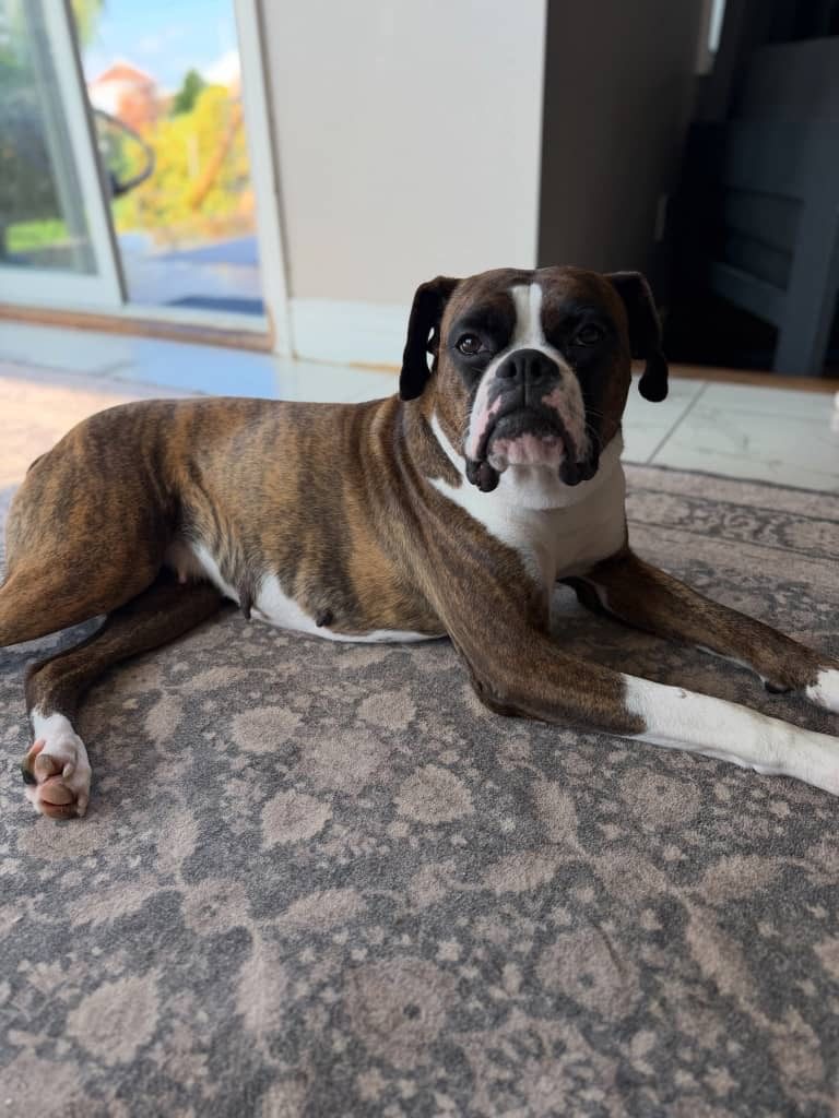 Max